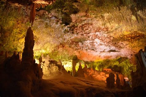 Excursi N A Las Cuevas Del Hams Y Dinosaurland En Cala Rajada