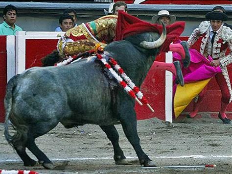 G Touro Chifra Toureiro Espanhol No M Xico Not Cias Em Mundo