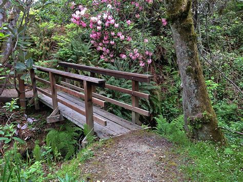 Spend A Day at Breathtaking Mendocino Coast Botanical Gardens