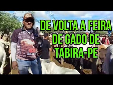 Feira de Gado de Tabira PE Pedro Florêncio dia 13 03 2024 pesquisa