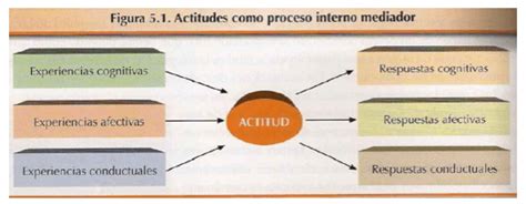 Qué Con Las Actitudes En Psicología Origen Funciones Y Teorías