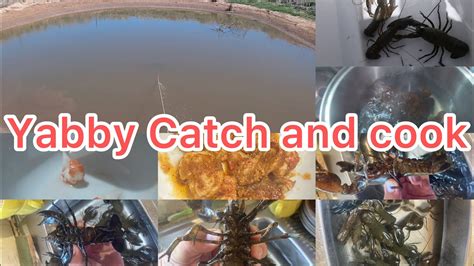 Freshwater Yabbies | Catch and Cook - YouTube