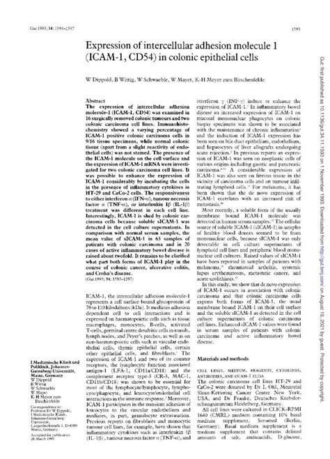 PDF Expression Adhesion Molecule ICAM CD54 Epithelial Cells ICAM