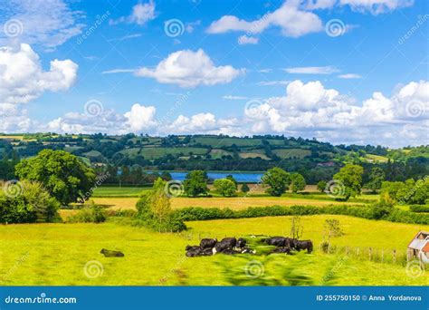 Farmlands Chew Valley Ubley Village Somerset England Stock Photo