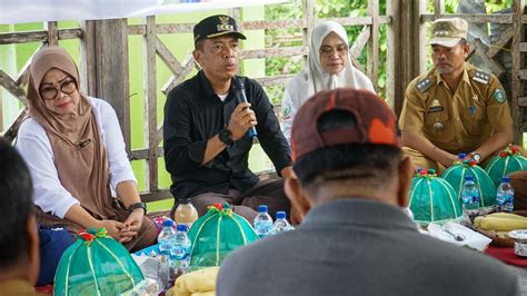 Pj Wali Kota Parepare Akbar Ali Hadiri Tradisi Adat Di Bacukiki Ajak