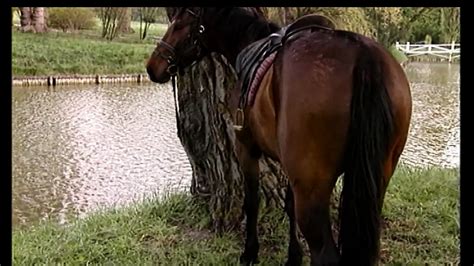 Schneewittchen Full Movie Original In Full HD Story Porn Feat Nikki Anderson XHamster