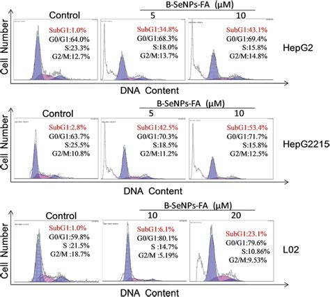 Effects Of Bsenpsfa On The Cell Cycle Distribution Of Hepg2 Hepg2215 Download Scientific