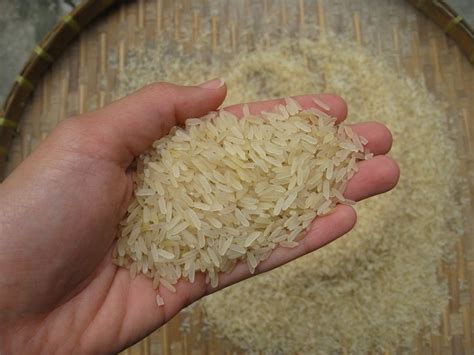 CHEAP THAI PARBOILED RICE 10 BROKEN Thailand Price Supplier 21food