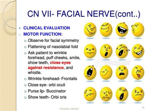 Cranial Nerve Assessment Simple And Easy To Perform For Medics And P