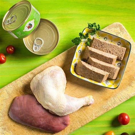 Fromm Chicken & Duck Pate Canned Cat Food 155g | Kohepets