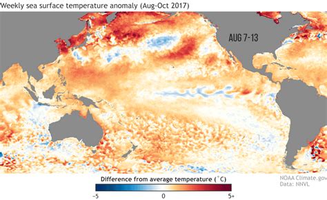 ENSO Fig3 SSTA Animation 201710 Large NOAA Climate Gov