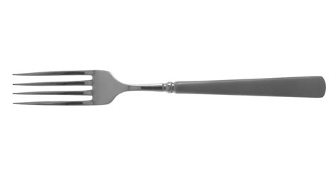 Satin Easton Stainless Fork By Oneida Silver Replacements Ltd