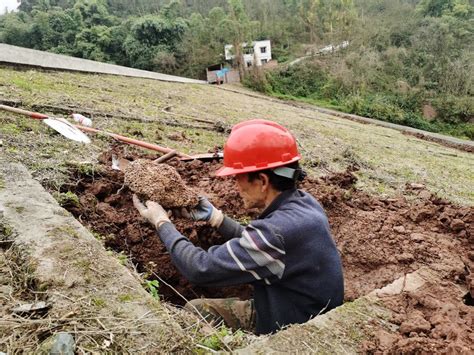 生态环境局全面完成水库堤坝白蚁防治工作 重庆高新技术产业开发区管理委员会