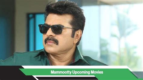 Mammootty Film List - Stetsone