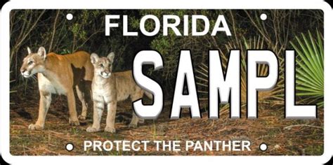 New Protect Florida Panthers Specialty License Plate Coming Orlando