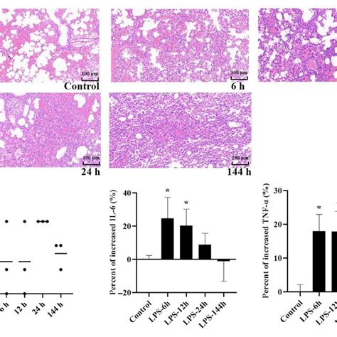 The Schematic Diagram Of The Lps Induced Ali Mice Model For Pk And