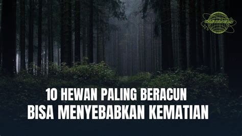 Apa Saja Hewan Beracun Itu Hewan Paling Beracun Di Dunia Katak Paling