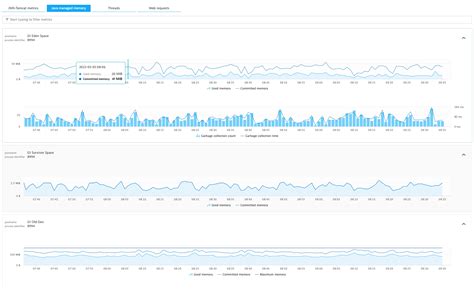 Huawei Jvm Monitoring Observability Dynatrace Hub