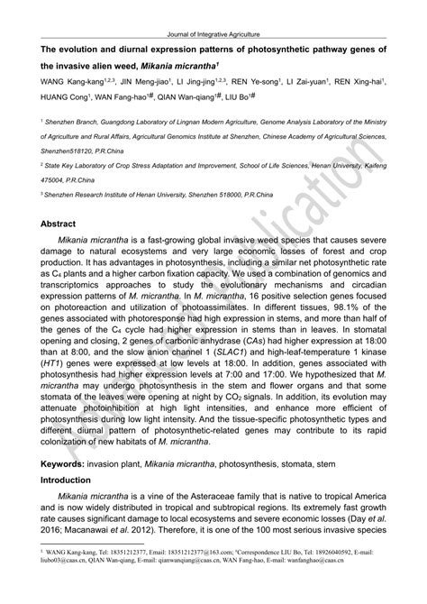 Pdf The Evolution And Diurnal Expression Patterns Of Photosynthetic