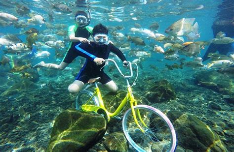 Konsep Unik Photography Underwater Di Umbul Ponggok Momotrip Journal