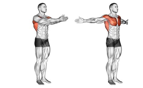 Reverse Grip Chest Workout Meanmuscles