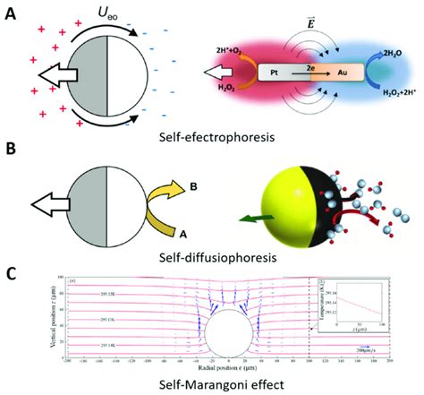 Schematic Representation Of Micro Nanomotors Propulsion Mechanisms