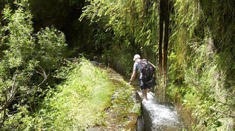 Madeira’s levadas | www.visitportugal.com