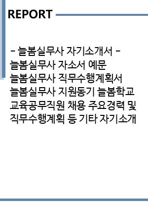 늘봄실무사 자기소개서 늘봄실무사 자소서 예문 늘봄실무사 직무수행계획서 늘봄실무사 지원동기 늘봄학교 교육공무직원 채용 주요