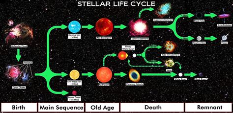 Star Life Cycle Chart Pdf