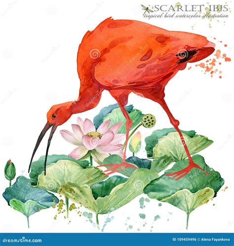 Scarlet Ibis Short Story 2