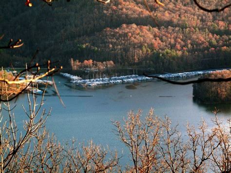 Watauga Lake Photos Lakeshore Resort Marina And Rentals Watauga