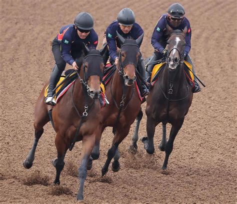 【ヴィクトリアm】ウンブライル木村師「言い訳がきかない条件。最善手を」／一問一答 競馬写真ニュース 日刊スポーツ