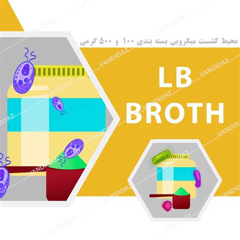 Lb Broth Lennox