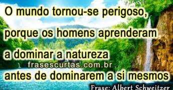 Frases sobre o Meio Ambiente - Frase Curta