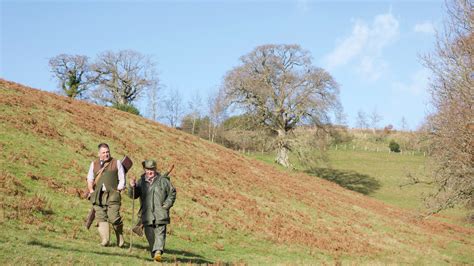 Great Fulford Estate Shoot Devon Availability On Gunsonpegs