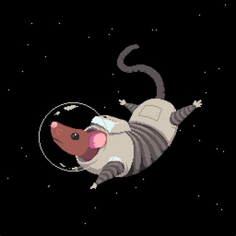 Space Rat : r/PixelArt