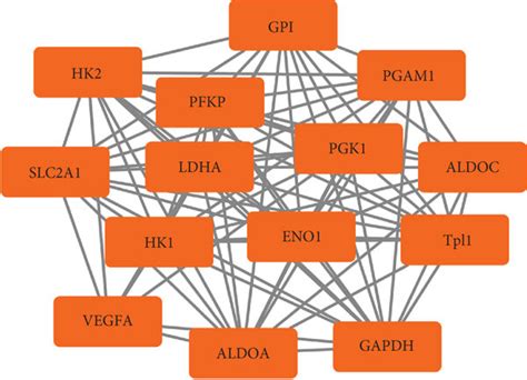 Construction Of A Protein Protein Interaction Ppi Network Of