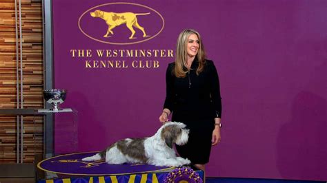 Owner speaks out after dog makes history with Westminster win - Good ...