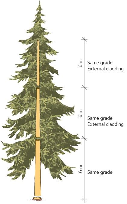 Properties Of Softwood Swedish Wood