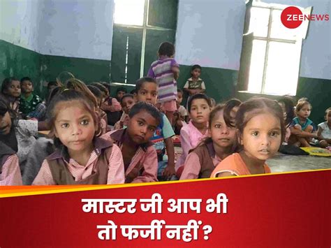 Up Stf Recommends Termination Of Fake Primary School Teachers Up Primary School Teacher कहीं