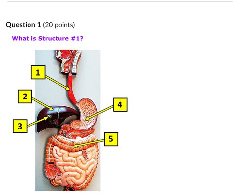 Solved Question 1 20 ﻿points What Is Structure 1