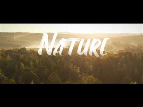 Calming Nature Video No Copyright & No Copyright Music | Aesthetic ...