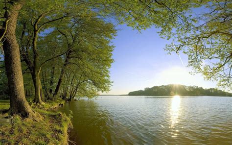 Hintergrundbilder Sonnenlicht Bäume Landschaft Wald See Wasser