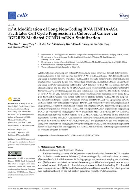 Pdf M A Modification Of Long Non Coding Rna Hnf A As Facilitates