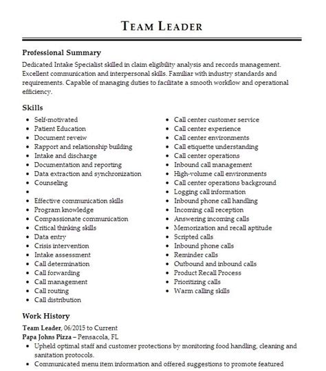 Team Leader Resume Example