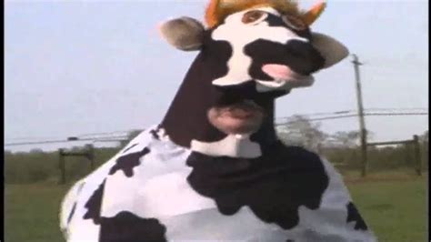 Animated Mad Cows