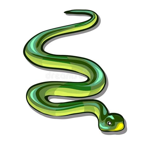 Green Snake Isolated on White Background. Vector Cartoon Close-up ...