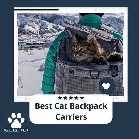 The 15 Best Cat Backpack Carriers - BestForPets.org