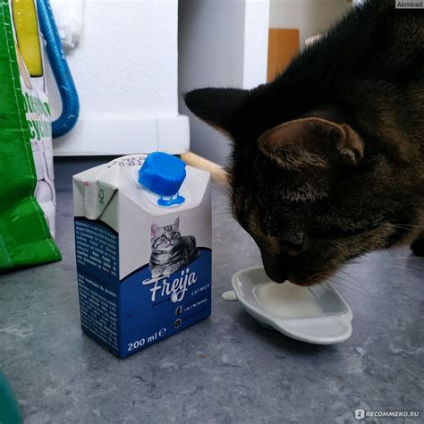 Молоко для кошек Freiya Cat milk - «Кошачье молоко!!!» | отзывы