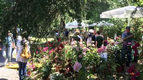 Al Parco Pertini Fiorissima Autunno Settimanale Lancora